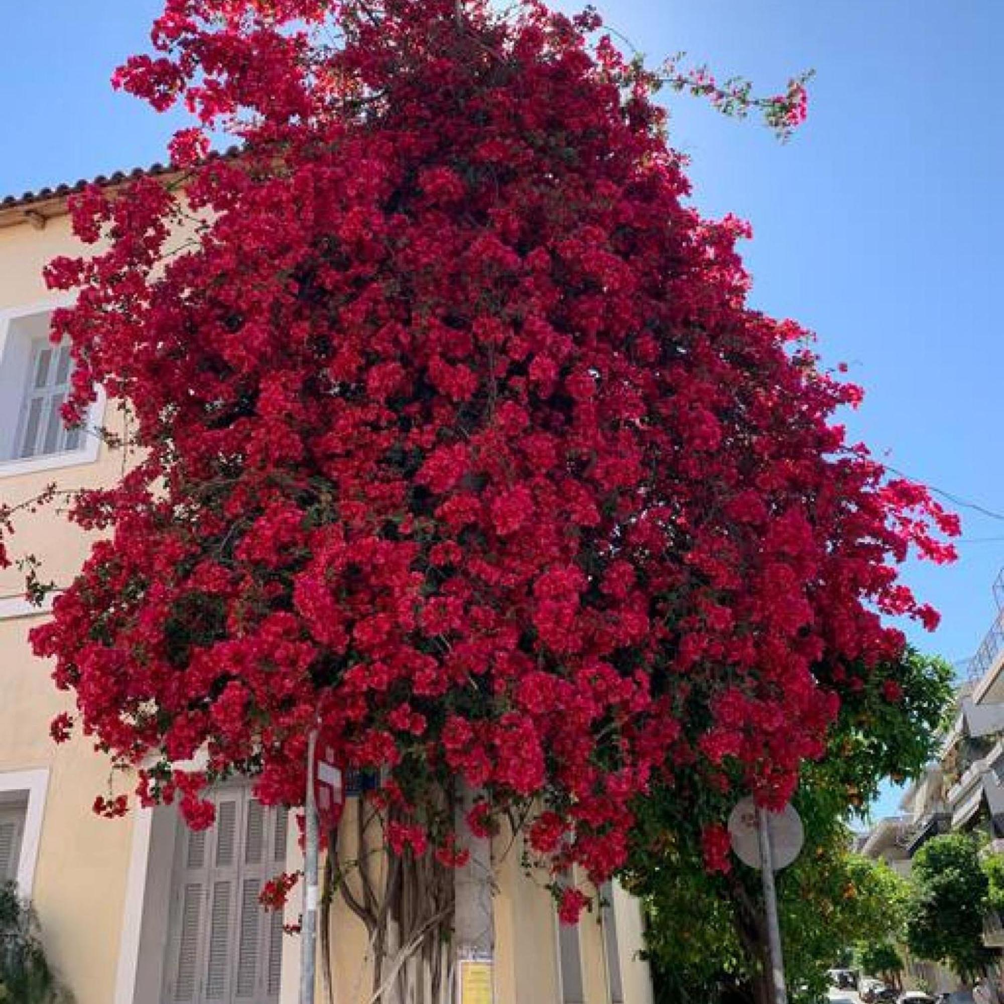 Comfortable Living In Athens 2Br Apartment Esterno foto